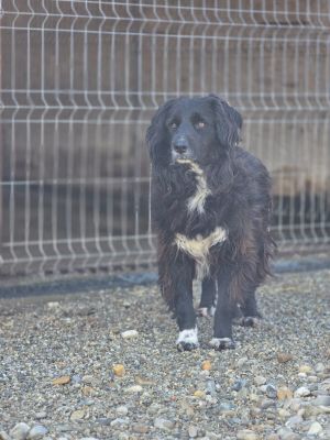 WhatsApp Image 2026 04 09 at 11.32.48