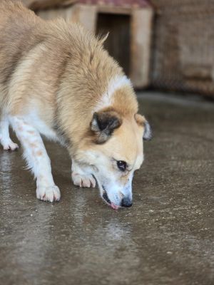 WhatsApp Image 2026 04 09 at 11.39.06