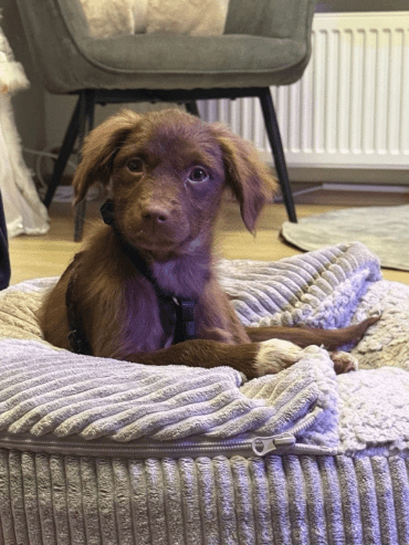 2025 12 17 08 57 35 Unbenannt Besprechung