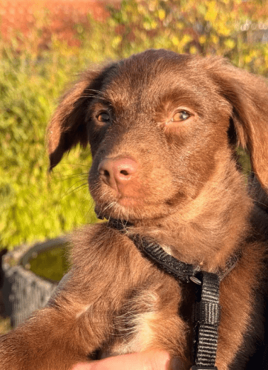 2025 12 17 08 57 45 Unbenannt Besprechung