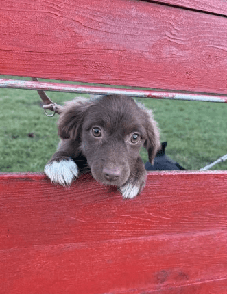 2025 12 17 08 57 52 Unbenannt Besprechung