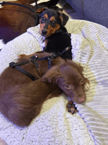 2025 12 17 08 57 56 Unbenannt Besprechung