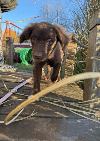 2025 12 17 08 58 07 Unbenannt Besprechung