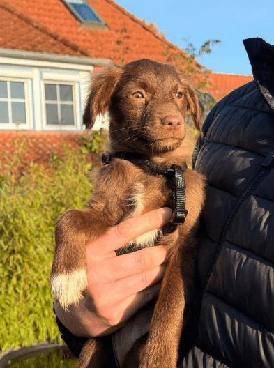 2025 12 17 08 58 12 Unbenannt Besprechung