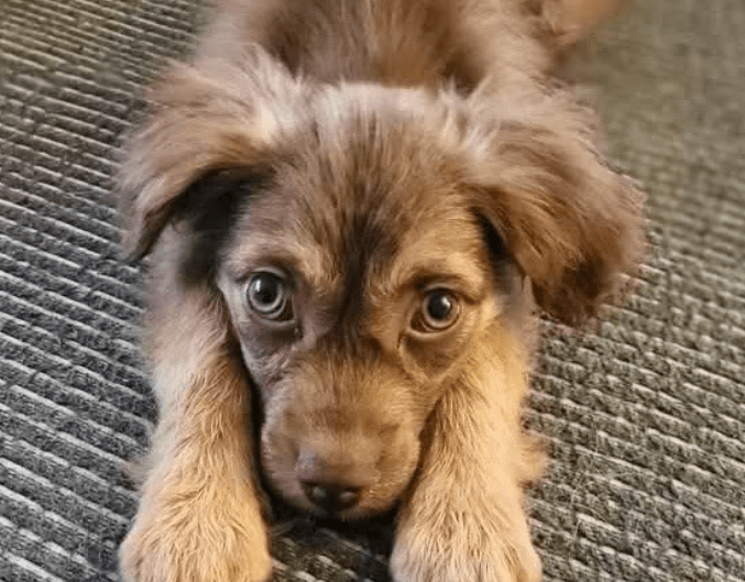 2025 12 17 08 59 35 Unbenannt Besprechung