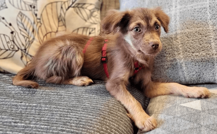 2025 12 17 08 59 40 Unbenannt Besprechung