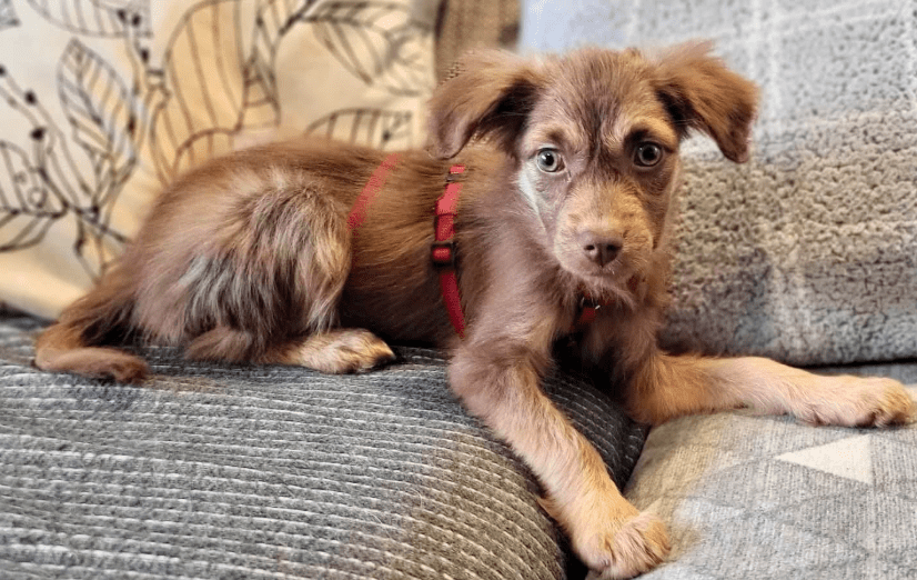 2025 12 17 08 59 44 Unbenannt Besprechung