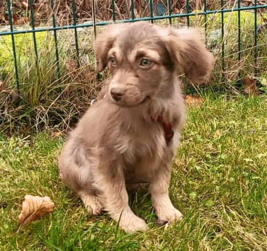 2025 12 17 08 59 49 Unbenannt Besprechung