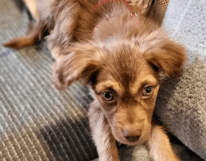 2025 12 17 08 59 52 Unbenannt Besprechung