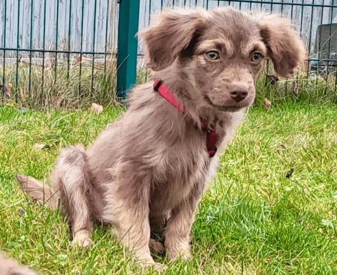 2025 12 17 08 59 56 Unbenannt Besprechung