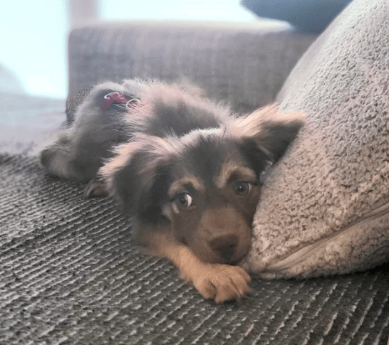 2025 12 17 09 00 01 Unbenannt Besprechung