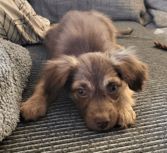 2025 12 17 09 00 14 Unbenannt Besprechung