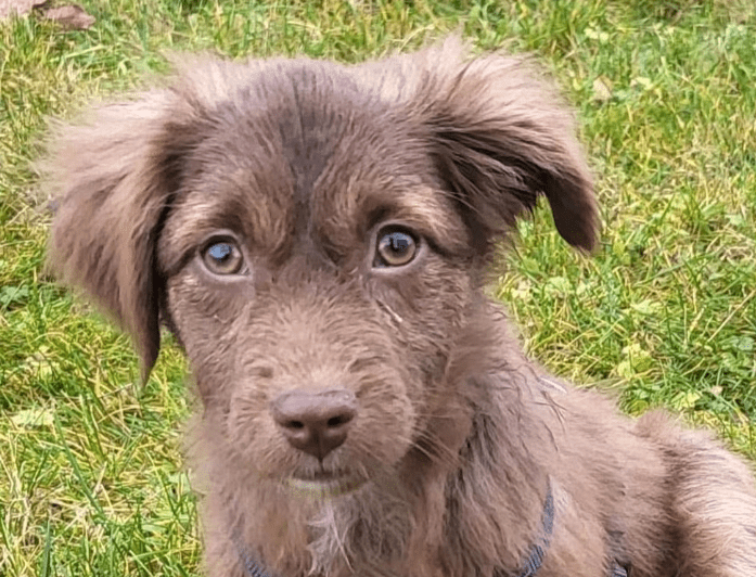 2025 12 17 09 02 17 Unbenannt Besprechung