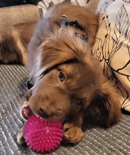 2025 12 17 09 02 21 Unbenannt Besprechung