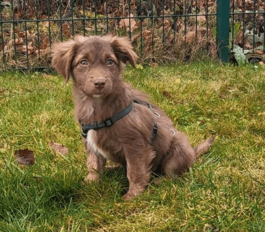 2025 12 17 09 02 25 Unbenannt Besprechung