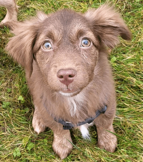 2025 12 17 09 02 28 Unbenannt Besprechung