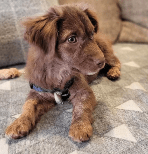 2025 12 17 09 02 32 Unbenannt Besprechung