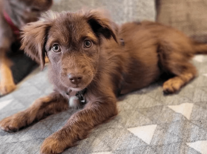 2025 12 17 09 02 36 Unbenannt Besprechung