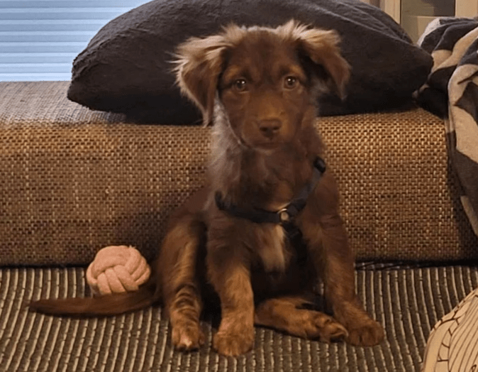 2025 12 17 09 02 41 Unbenannt Besprechung