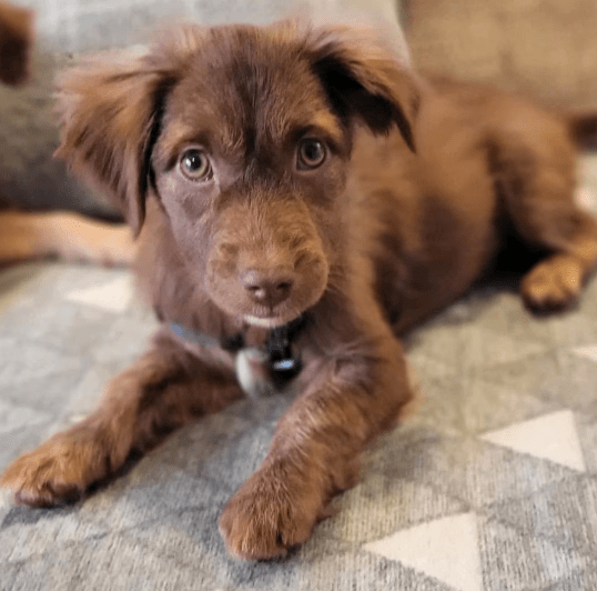 2025 12 17 09 02 47 Unbenannt Besprechung