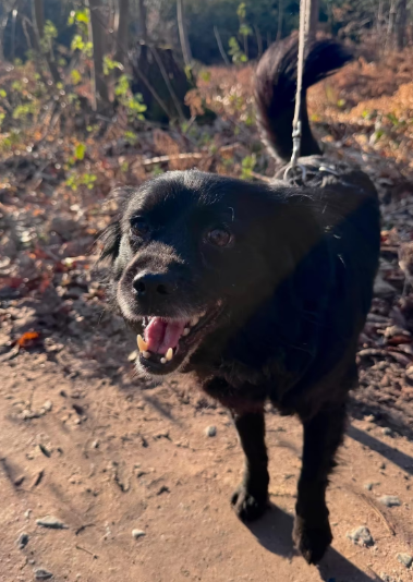 2025 12 29 09 34 28 1 Erinnerung(en)