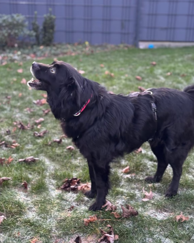 2025 12 29 09 34 33 1 Erinnerung(en)