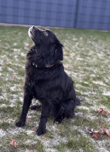 2025 12 29 09 34 37 1 Erinnerung(en)