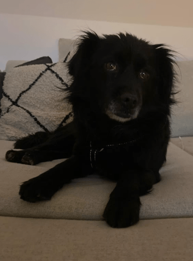 2025 12 29 09 34 48 1 Erinnerung(en)