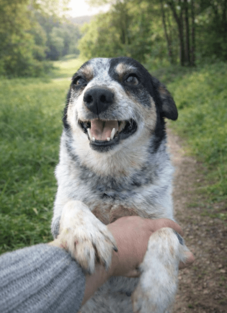 2026 01 06 10 43 07 PPM 22 Project Initiation Document E Invoicing Hungary.pptx PowerPoint