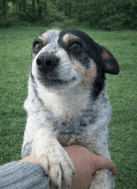 2026 01 06 10 43 16 PPM 22 Project Initiation Document E Invoicing Hungary.pptx PowerPoint