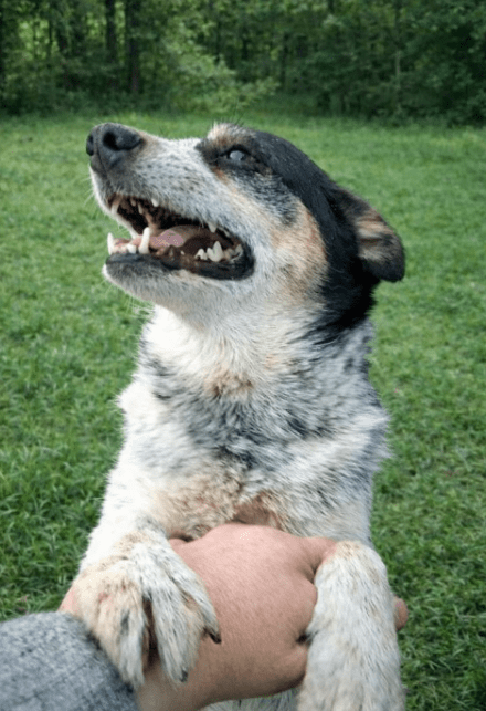 2026 01 06 10 43 19 PPM 22 Project Initiation Document E Invoicing Hungary.pptx PowerPoint