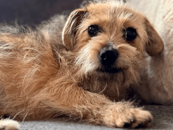 2026 01 19 09 33 32 Quick Alignment New Marketing Project Besprechung