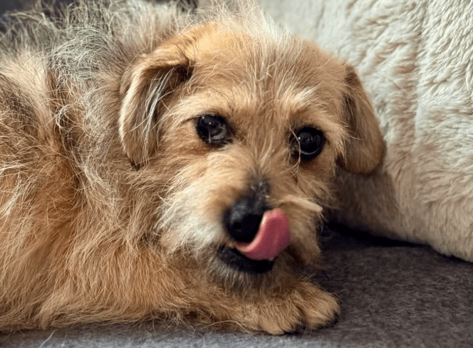 2026 01 19 09 33 41 Quick Alignment New Marketing Project Besprechung