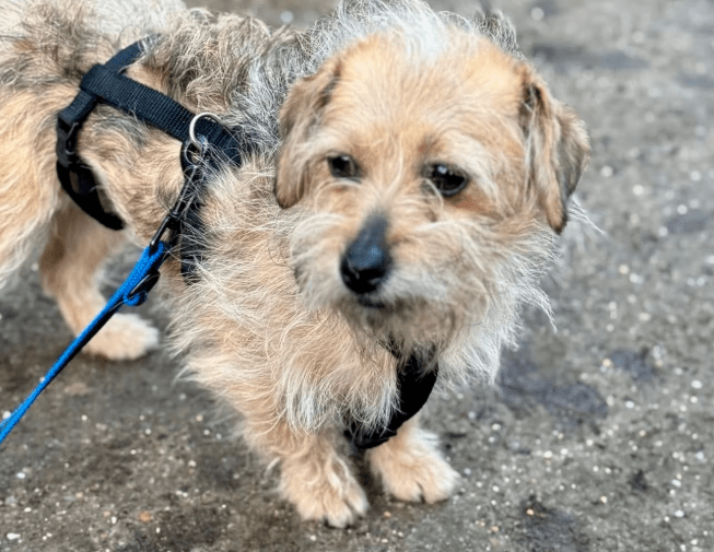 2026 01 19 09 33 46 Quick Alignment New Marketing Project Besprechung