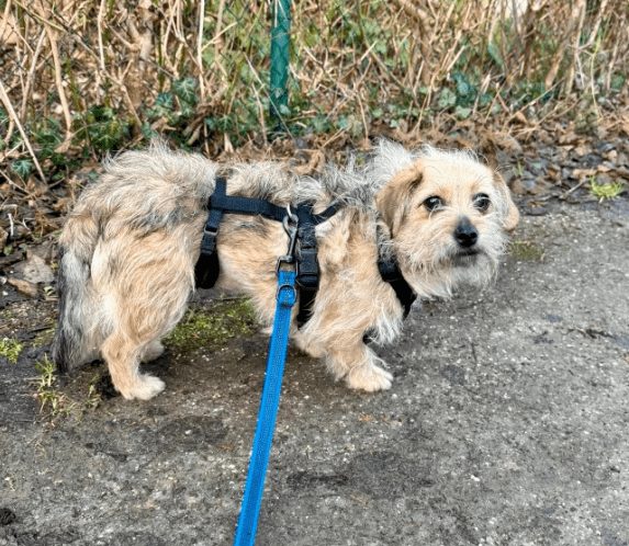 2026 01 19 09 33 53 Quick Alignment New Marketing Project Besprechung