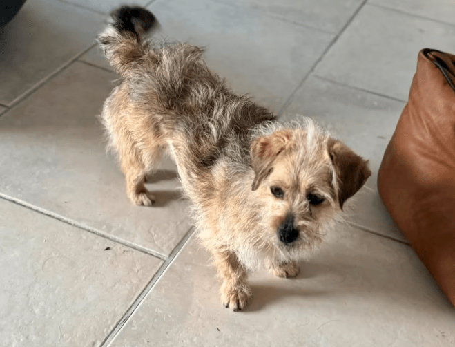 2026 01 19 09 33 58 Quick Alignment New Marketing Project Besprechung