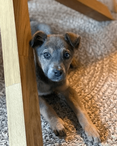 2026 01 19 09 36 14 Quick Alignment New Marketing Project Besprechung