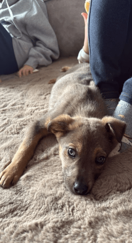 2026 01 19 09 36 17 Quick Alignment New Marketing Project Besprechung