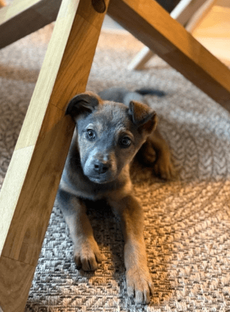 2026 01 19 09 36 22 Quick Alignment New Marketing Project Besprechung