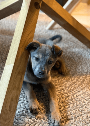 2026 01 19 09 36 26 Quick Alignment New Marketing Project Besprechung