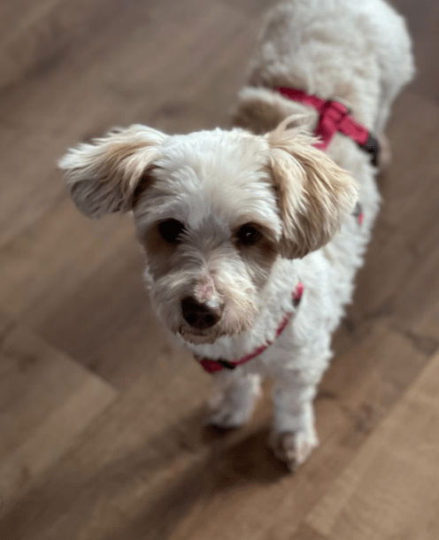 2026 01 19 09 56 26 Posteingang Sina.Rieke Kroeger@oetker.com Outlook