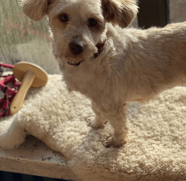 2026 01 19 09 56 30 Posteingang Sina.Rieke Kroeger@oetker.com Outlook