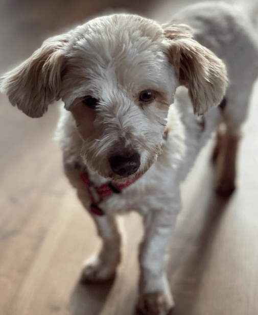 2026 01 19 09 56 44 Posteingang Sina.Rieke Kroeger@oetker.com Outlook