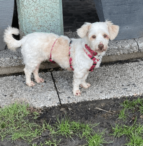 2026 01 19 09 56 51 Posteingang Sina.Rieke Kroeger@oetker.com Outlook