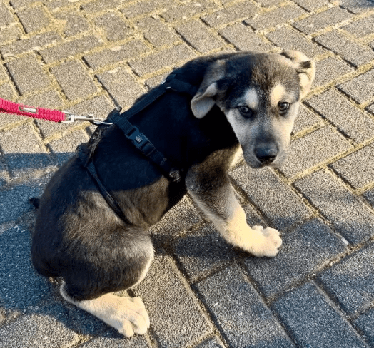 2026 01 23 18 30 52 Posteingang Sina.Rieke Kroeger@oetker.com Outlook