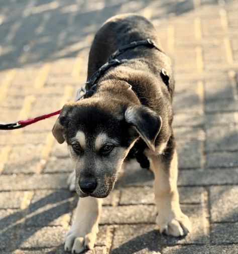 2026 01 23 18 31 01 Posteingang Sina.Rieke Kroeger@oetker.com Outlook