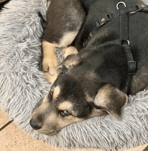 2026 01 23 18 31 07 Posteingang Sina.Rieke Kroeger@oetker.com Outlook