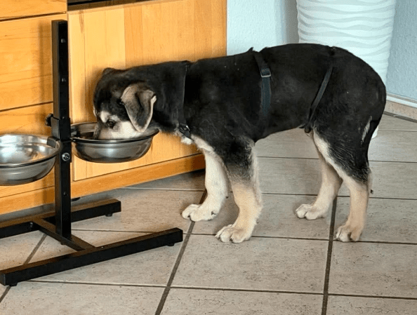 2026 01 23 18 31 18 Posteingang Sina.Rieke Kroeger@oetker.com Outlook