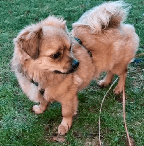 2026 01 23 18 34 55 Posteingang Sina.Rieke Kroeger@oetker.com Outlook