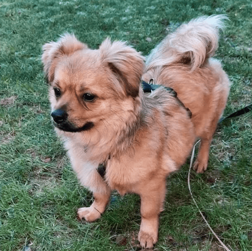 2026 01 23 18 35 00 Posteingang Sina.Rieke Kroeger@oetker.com Outlook